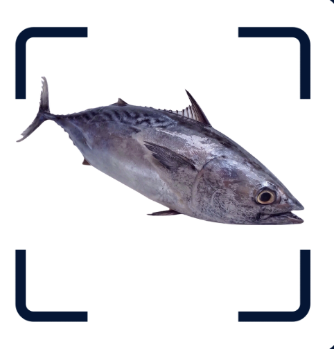 Fish scan